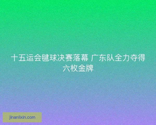 十五运会毽球决赛落幕 广东队全力夺得六枚金牌