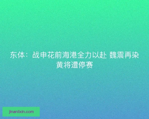 东体：战申花前海港全力以赴 魏震再染黄将遭停赛